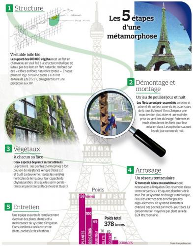 Végétaliser la Tour Eiffel